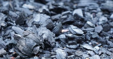 Skin Detox: 5 Reasons to Add Active Charcoal to Your Beauty Routine